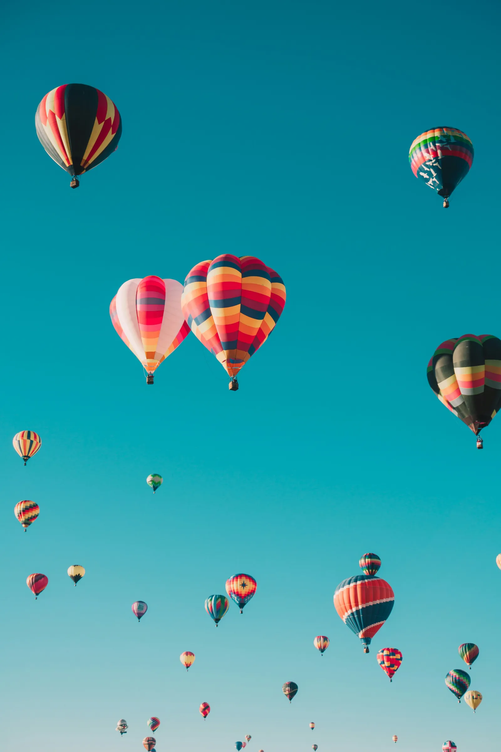 Mongolfiere colorate in volo sopra paesaggio naturale durante un viaggio panoramico